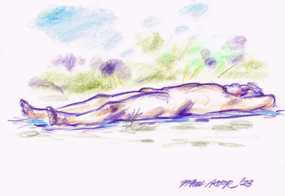drawing of a thick naked man sleeping on a blanket on the beach reading
